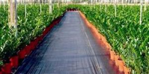 PP Woven Ground Cover