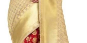 Banarasi Georgette Sarees