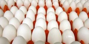 White Table Eggs