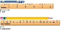 Measuring Ruler