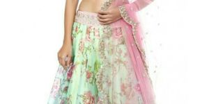 Party Wear Lehenga