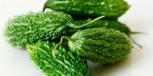 Fresh Bitter Gourd