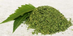 Dried Neem Leaf Powder