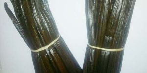 Vanilla Beans
