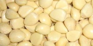 Dehydrated Garlic Chopped