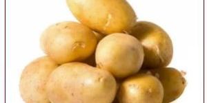 Fresh Potato