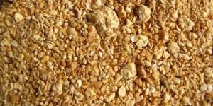 Soybean Meal
