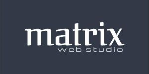 Web Designing Company in Delhi,ncr