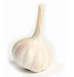 Fresh Garlic
