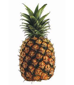 Fresh Pineapple