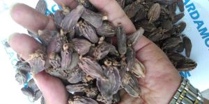 Black Cardamom