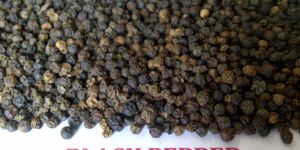 Black Pepper Seeds