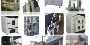 Gold Leaves Plant Project Consultancy Service