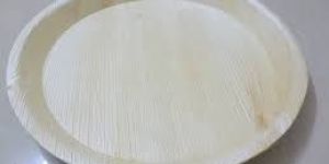Areca Leaf Plates