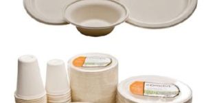 Disposable Sugarcane Plates