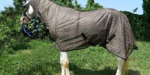 VE-R-004 Horse Rug