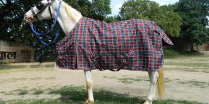 VE-R-008 Horse Rug