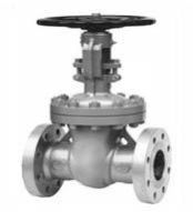 Gate Globe Check Valve