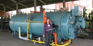 Steam Audit Services