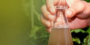 Waste Water Analysis Services