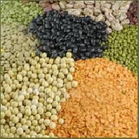 Grains Pulses