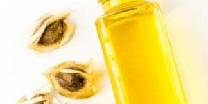 Moringa Oil
