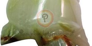 Natural Agate Tortoise