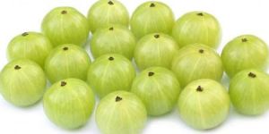Fresh Amla