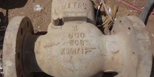Check Valves