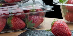 AVI Global Plast - Punnets and Trays for fruits and vegetables packing