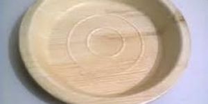 Areca Leaf Plate