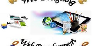 Web Design & Development