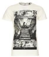 Men Printed T Shirt
