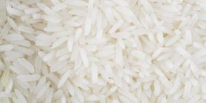 White Rice