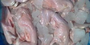 RABBIT MEAT