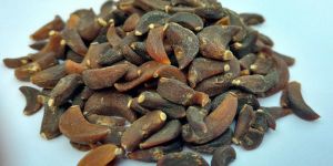 Garlic Cloves