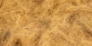 Coir Fiber