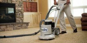 Carpet Cleaning Services