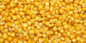 Frozen Sweet Corn