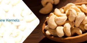 Cashew Nuts