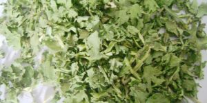 Dehydrated Coriander