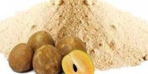 Sapota Powder