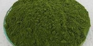 Moringa Leaves  Powder