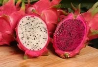 Dragon Fruit