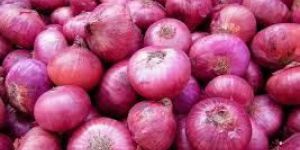 Fresh Red Onion