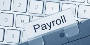 Payroll Software