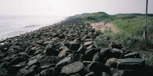 Armour Rocks