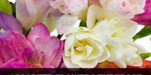 Fresh Ornamental Flowers