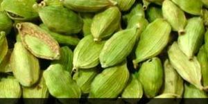 Cardamom