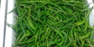 Fresh Green Chilli